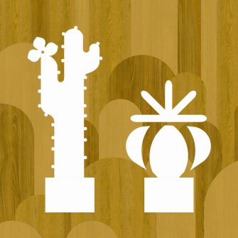 Kaktuszok - falmatricák