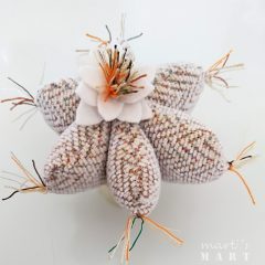   kaktusz virágbolti áru, bézs -narancssárga, filc kaspóban, áttetsző textil csomagolással